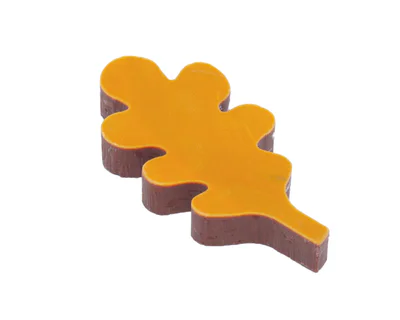 Belgická pralinka Autumn Leaves Milk Almond crunch